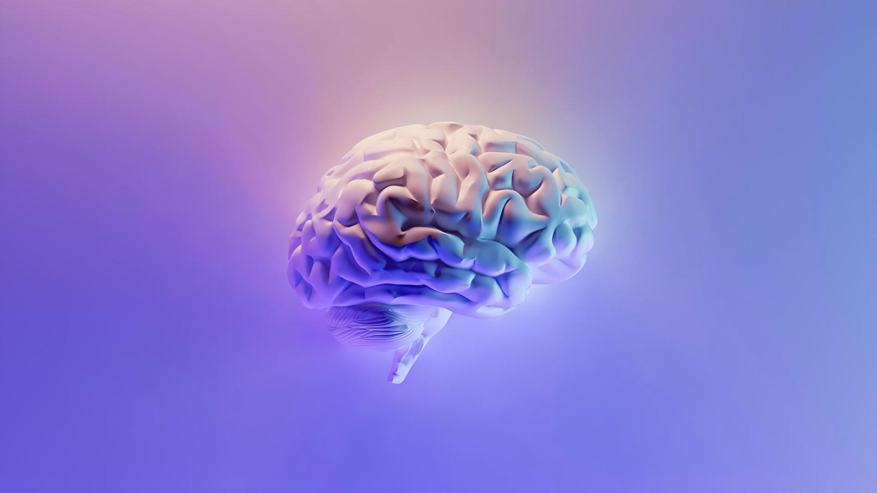 Environnement de formation aux réseaux neuronaux