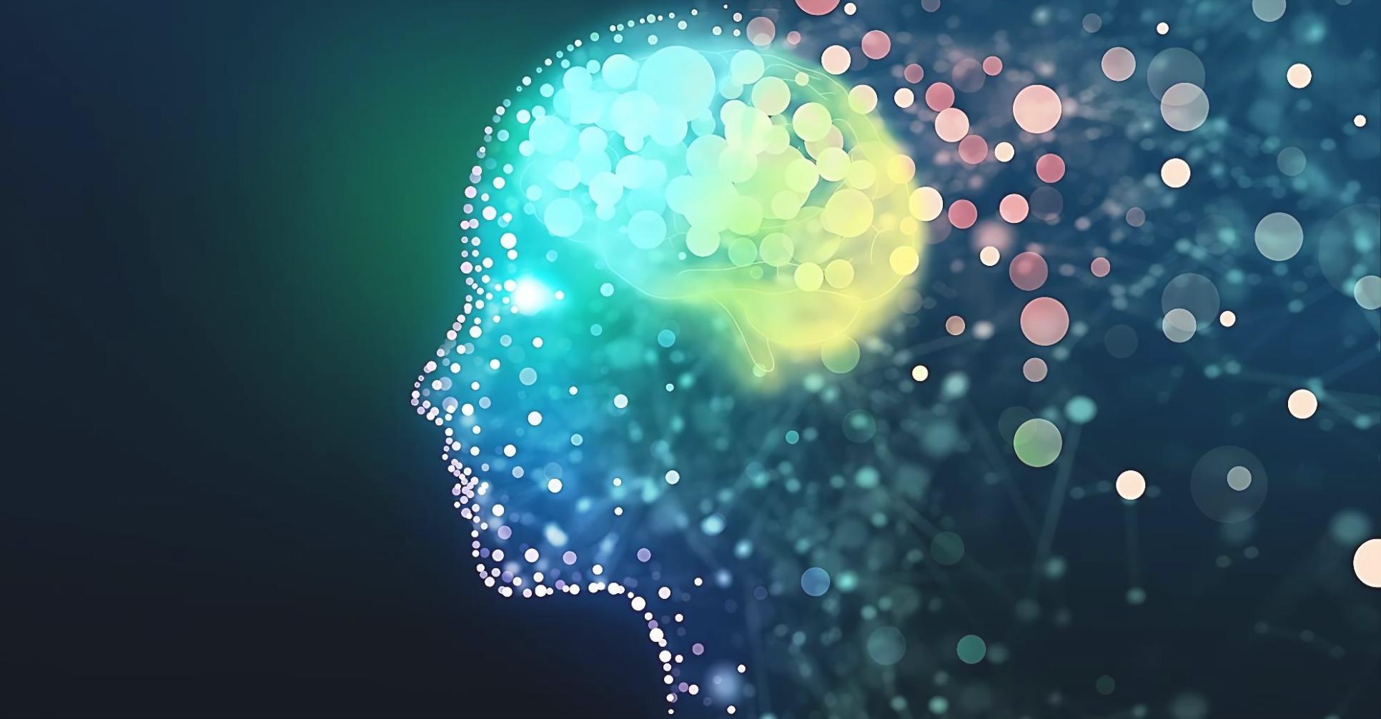 Session de formation en réseaux neuronaux